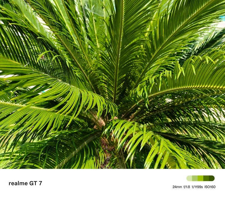 Η τριπλή κάμερα του realme GT7 βασίζεται στον 50ΜP αισθητήρα IMX906 της Sony