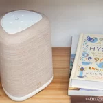 Bluesound Pulse Flex (2025): Streaming ηχείο με πλούσιες δυνατότητες