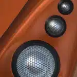 Vivid Audio Giya Cu