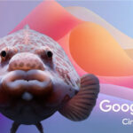 Google V3