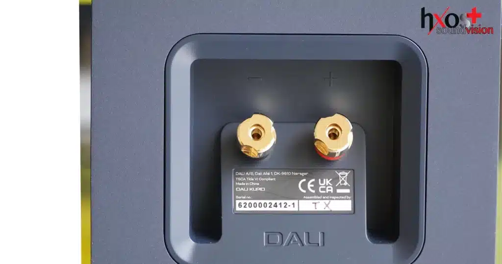 Dali Kupid Review | TEST HXEIA ΒΑΣΗΣ