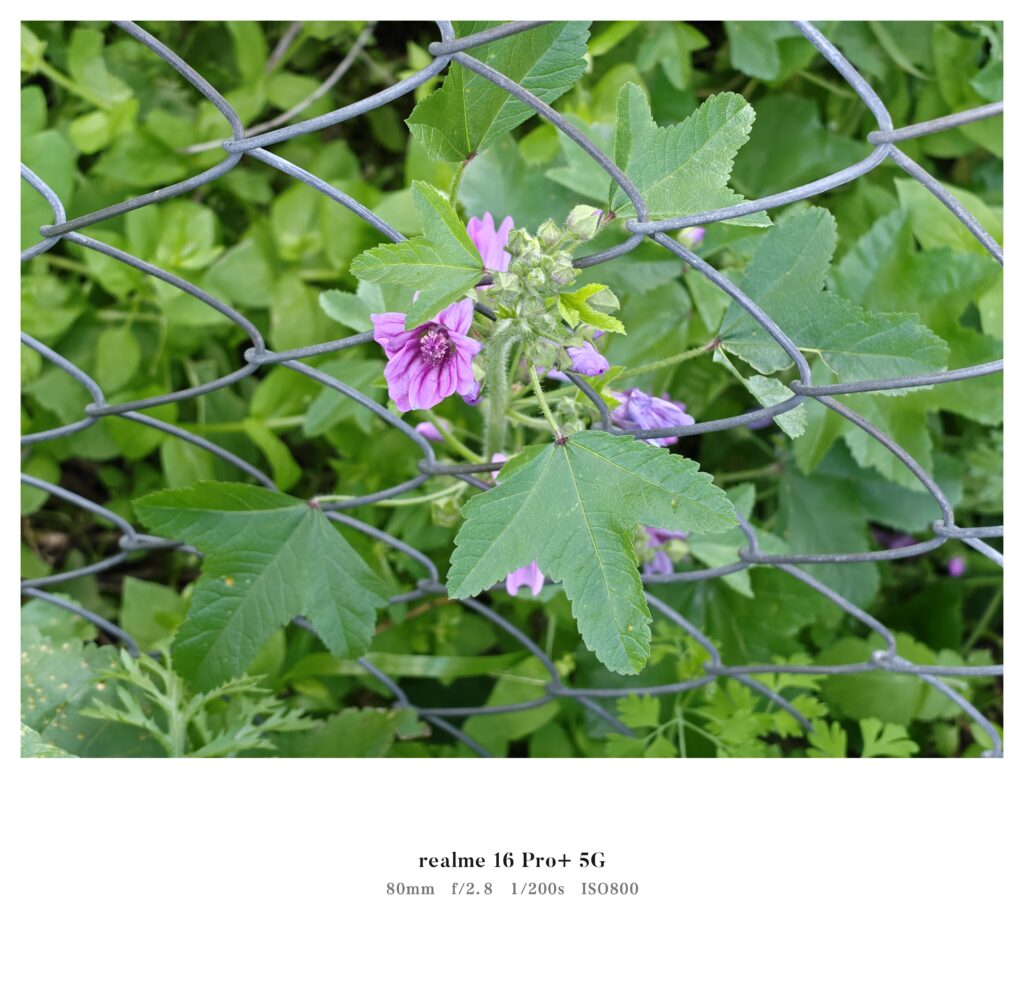 realme 16 Pro+ Review | TEST Smartphone