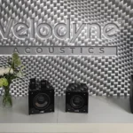 Velodyne 1824: Ένα subwoofer που πιάνει τον ήχο από πολύ χαμηλά, από τους υπόηχους